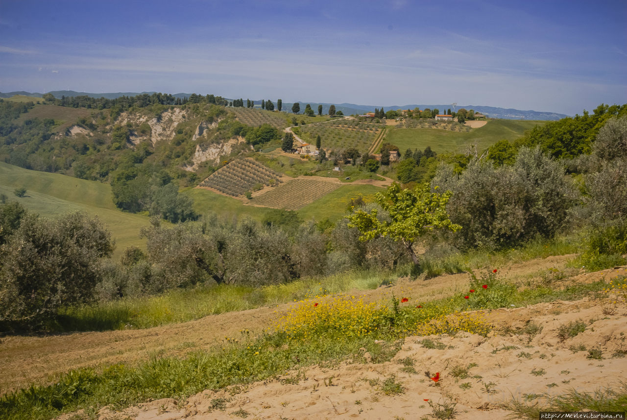 Маки Тосканы Тоскана, Италия