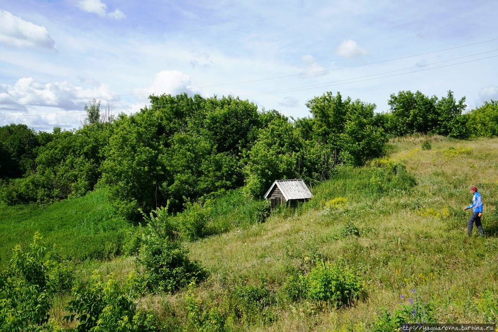 Рачейский бор Старая Рачейка, Россия