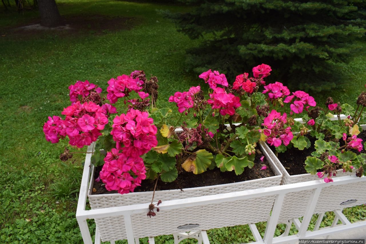 Диалог российского пенсионера и советского студента