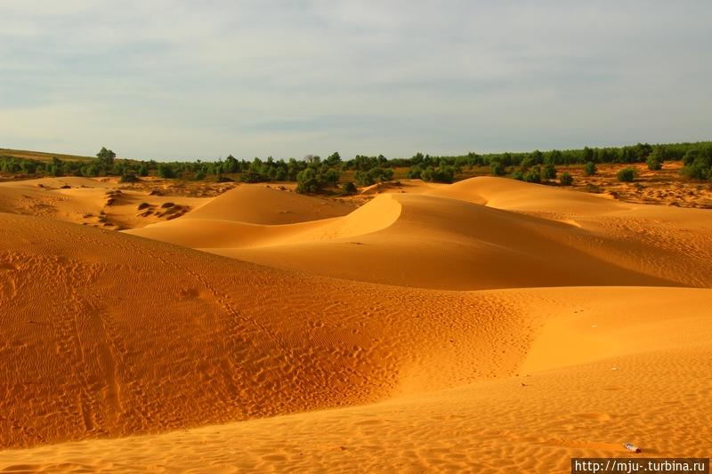Красные дюны вьетнам