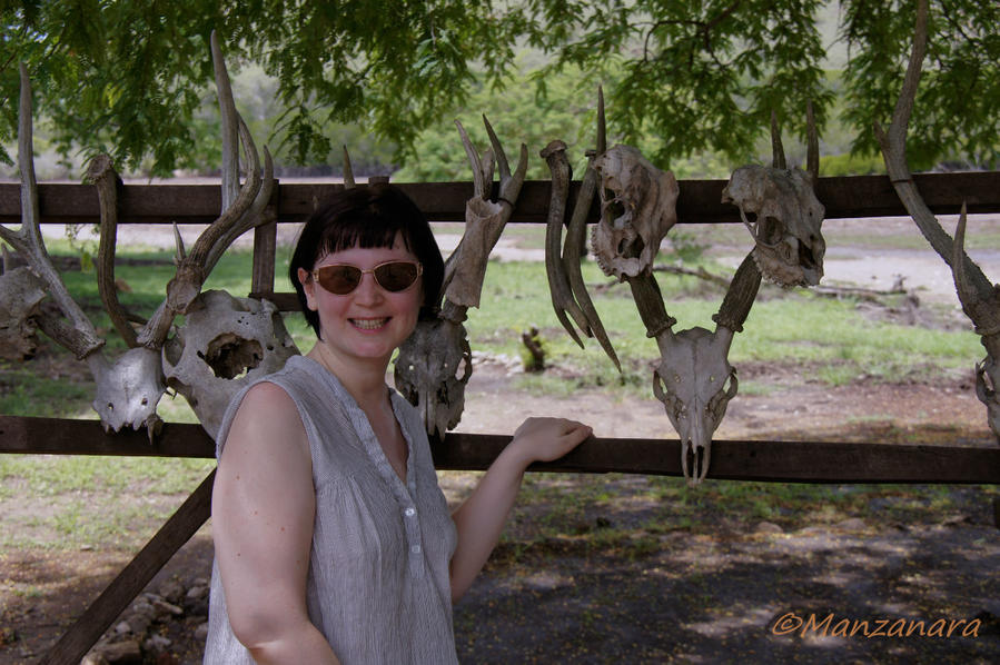 Индонезия. Остров Ринча Остров Ринка, Индонезия