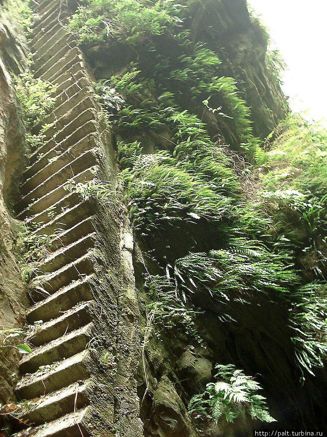 Лестница в небо Чжанцзяцзе Национальный Лесной Парк (Парк Аватар), Китай