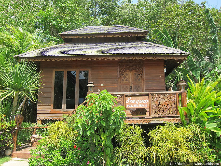 Pai Tree House Пай, Таиланд