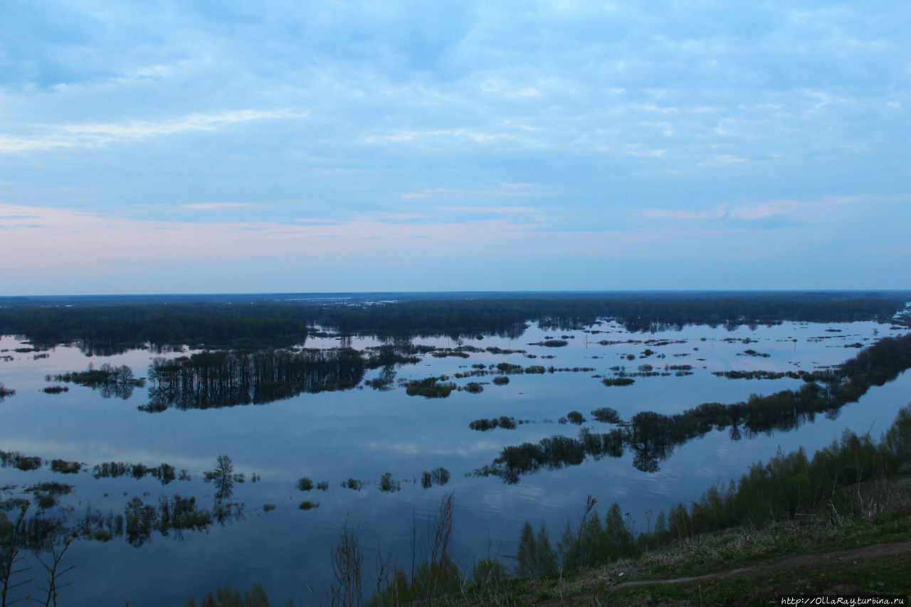 Яндекс.Навигатор: reality