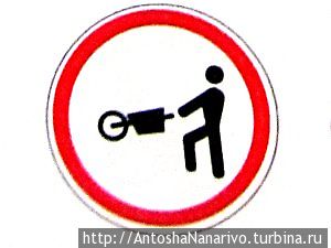 Носороги на дороге Мозамбик