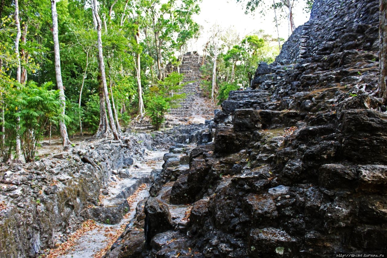 Эль Мирадор Эль-Мирадор  (город майя), Гватемала