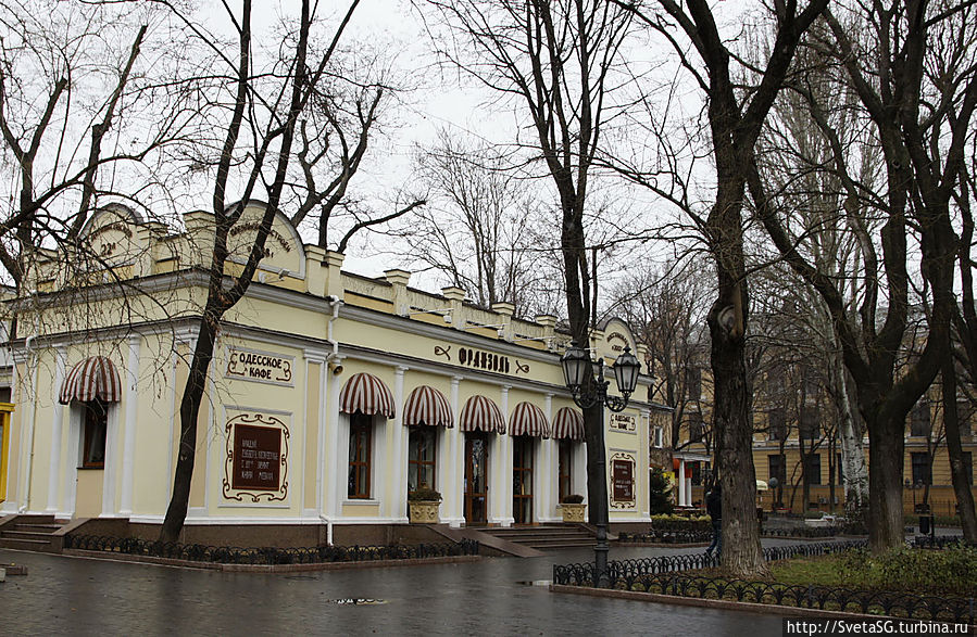 Франзоль Одесса, Украина