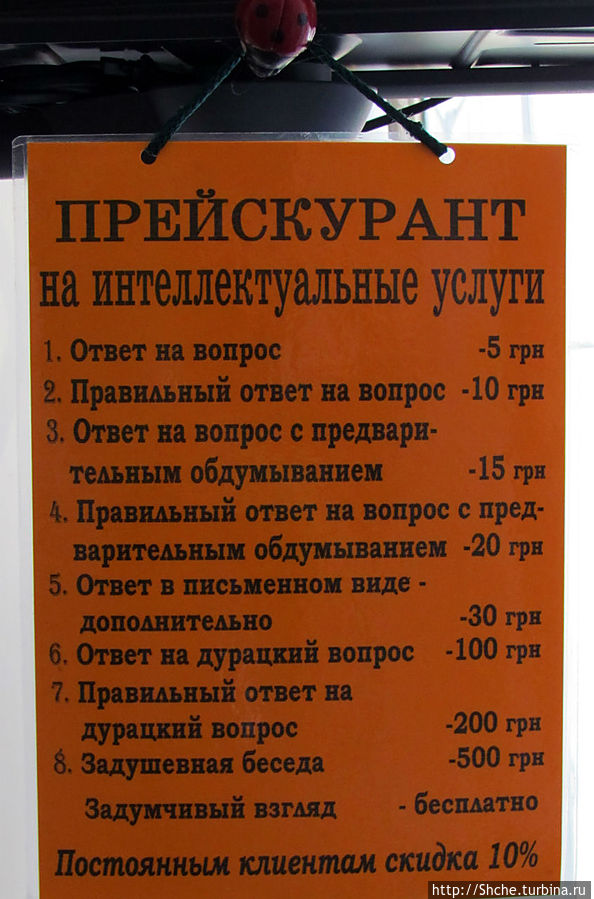 О культуре диспута