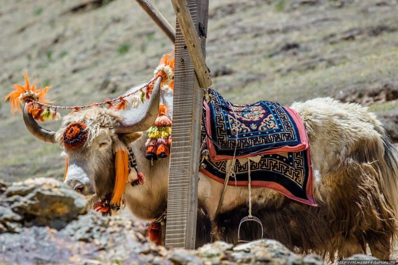 Пещеры для медитации Драк Йерпа недалеко от Лхасы Пещеры Драк Йерпа, Китай