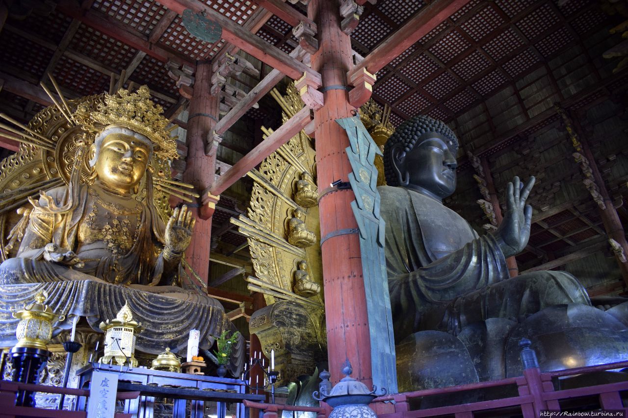 Олени и гигантский Будда Нара, Япония