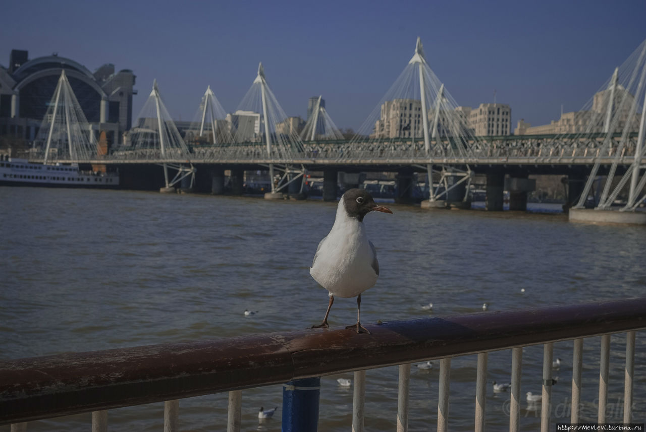 Через мосты Лондон, Великобритания