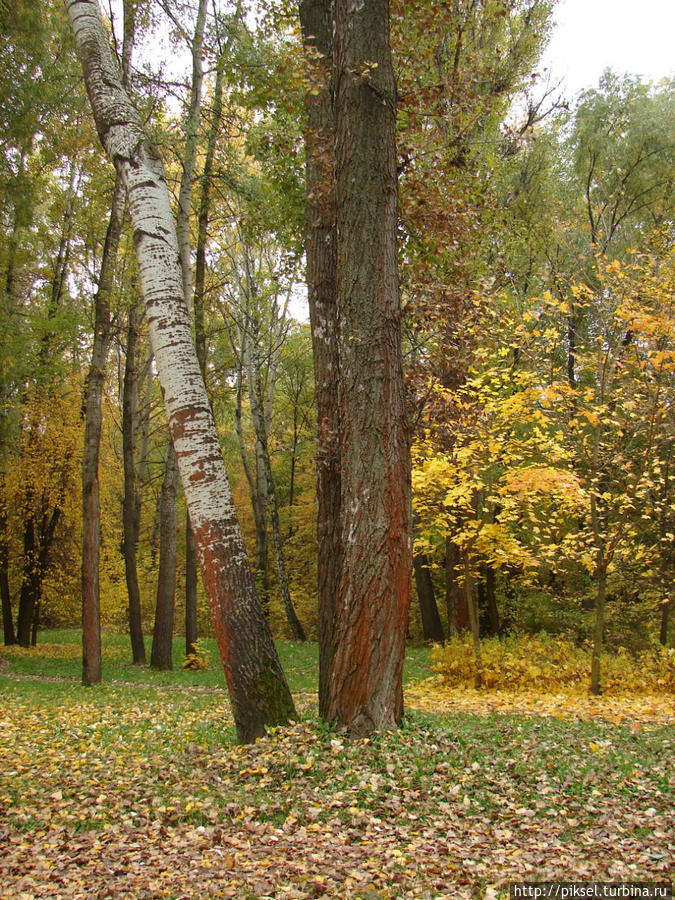 Дорогожицкий парк Киев, Украина