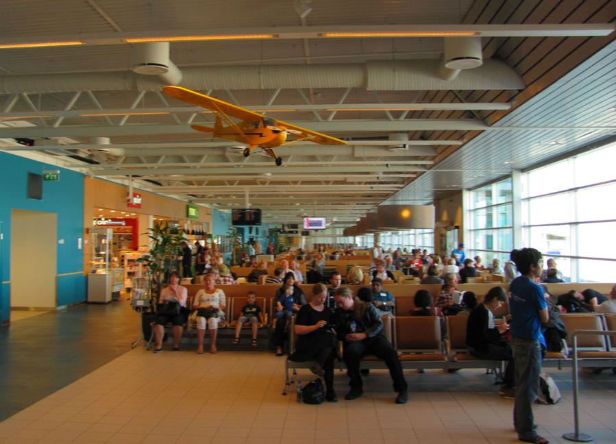 Финнмарк.  Ягоды, иван-чай и рисунки древних Альта, Норвегия