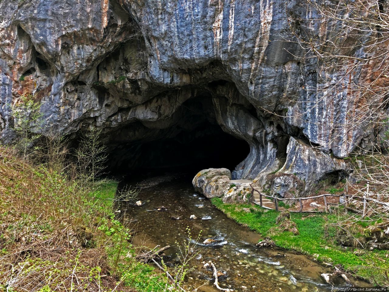 Пещера Болии / Peştera Bolii