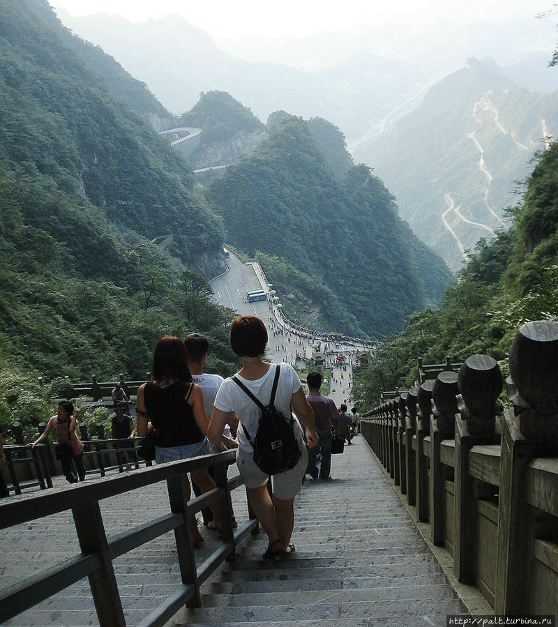 999 ступенек вниз — это вам не 999 ступенек вверх Чжанцзяцзе Национальный Лесной Парк (Парк Аватар), Китай