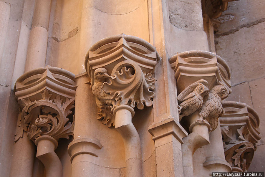 Западный фасад Саламанка, Испания