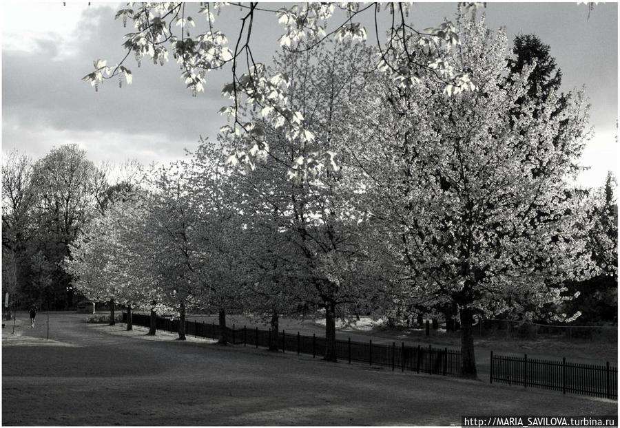 Парк скульптур Вигеланда Осло, Норвегия