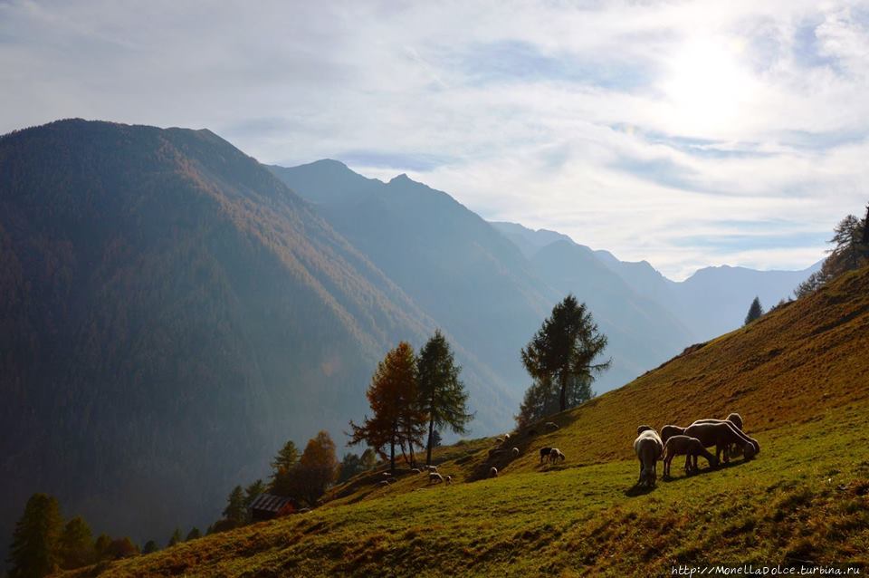 Национальный парк-''Parco Nazionale dello Stelvio'' Стельвио Национальный Парк, Италия