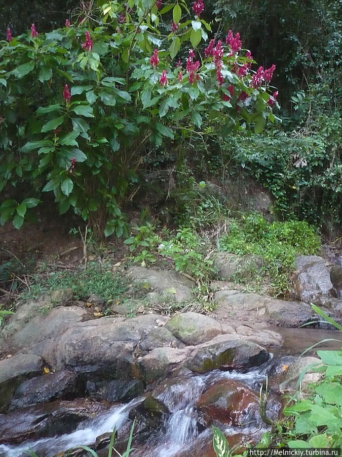 Прогулка по улочкам Канди Канди, Шри-Ланка