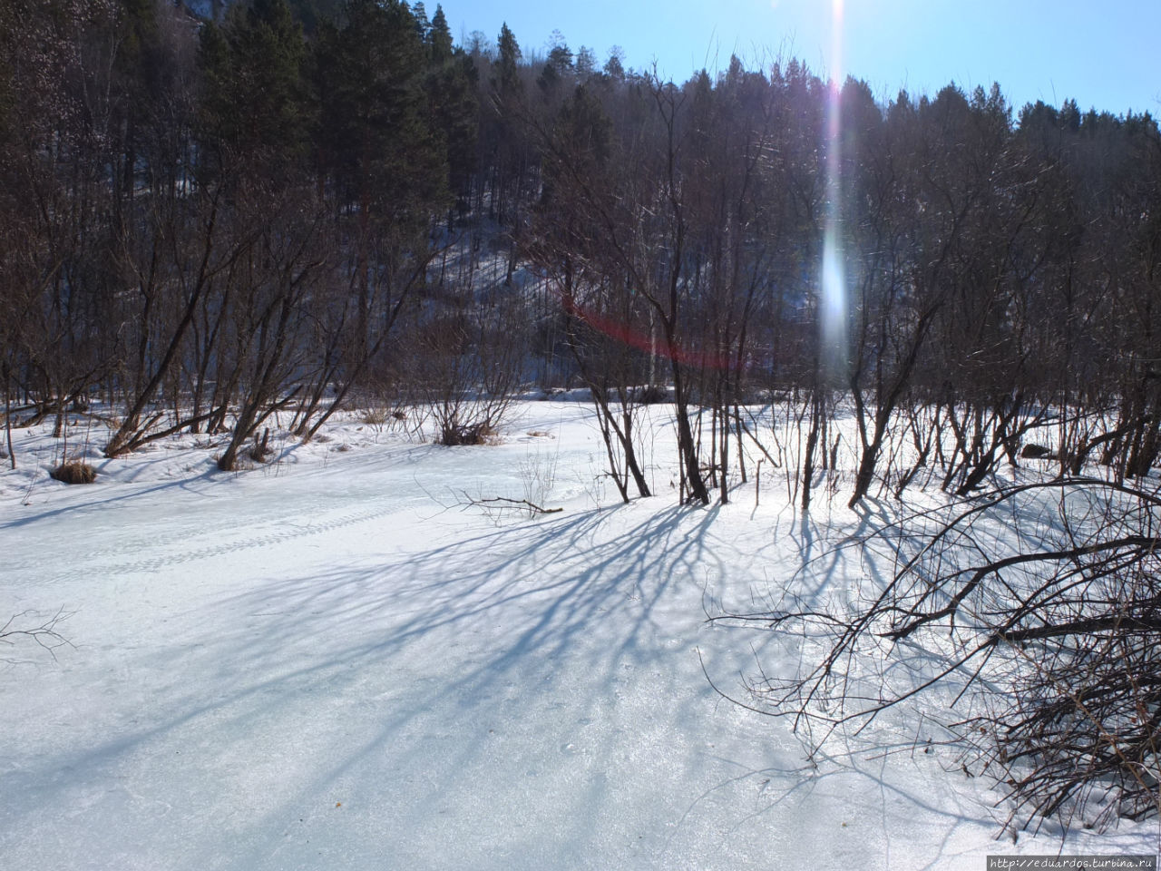 С настроением весеннего леса... Красноярск, Россия