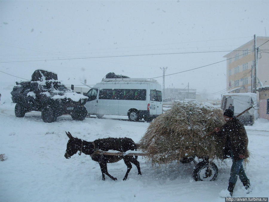 Гостеприимный Курдистан Турция