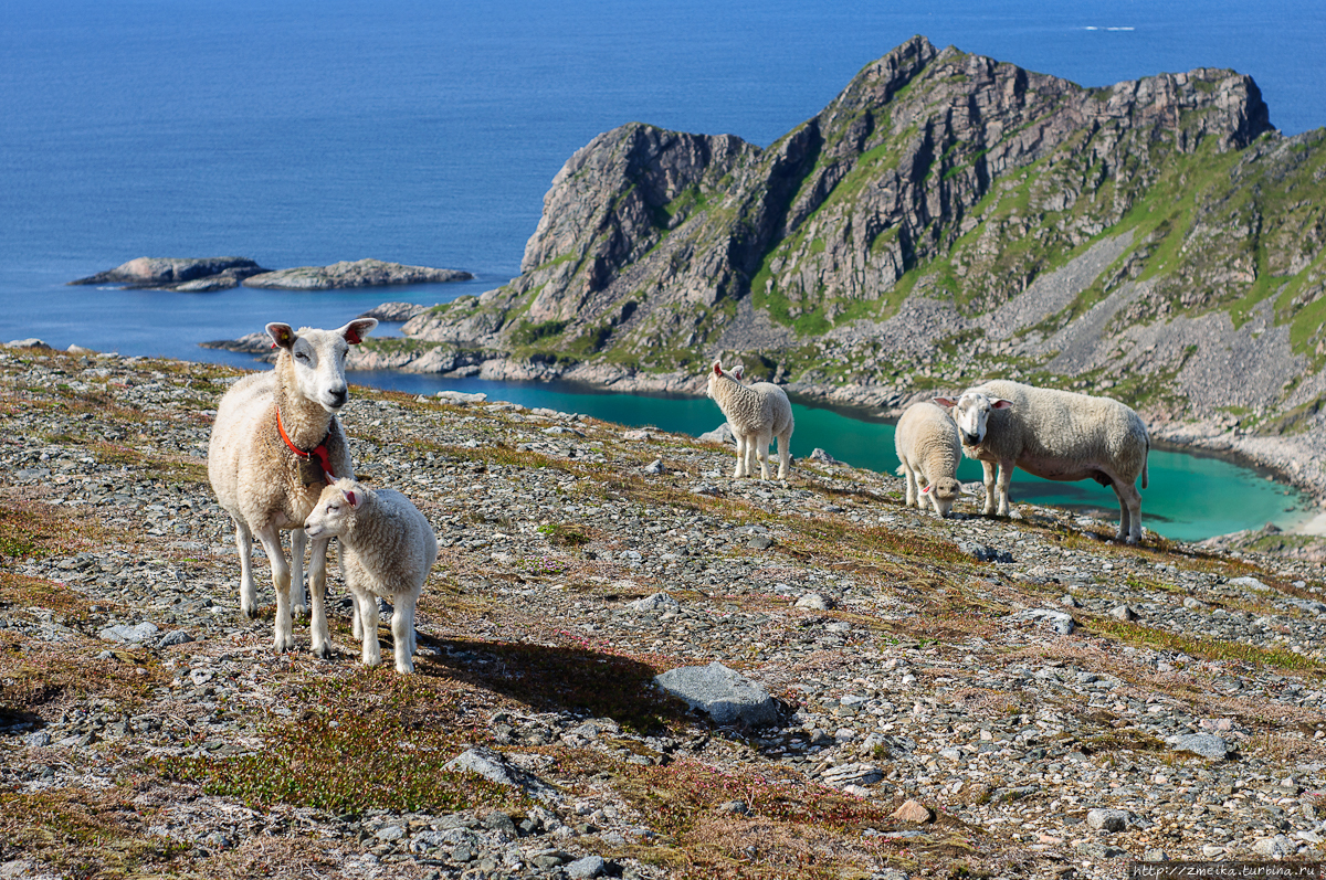 Краски моего лета