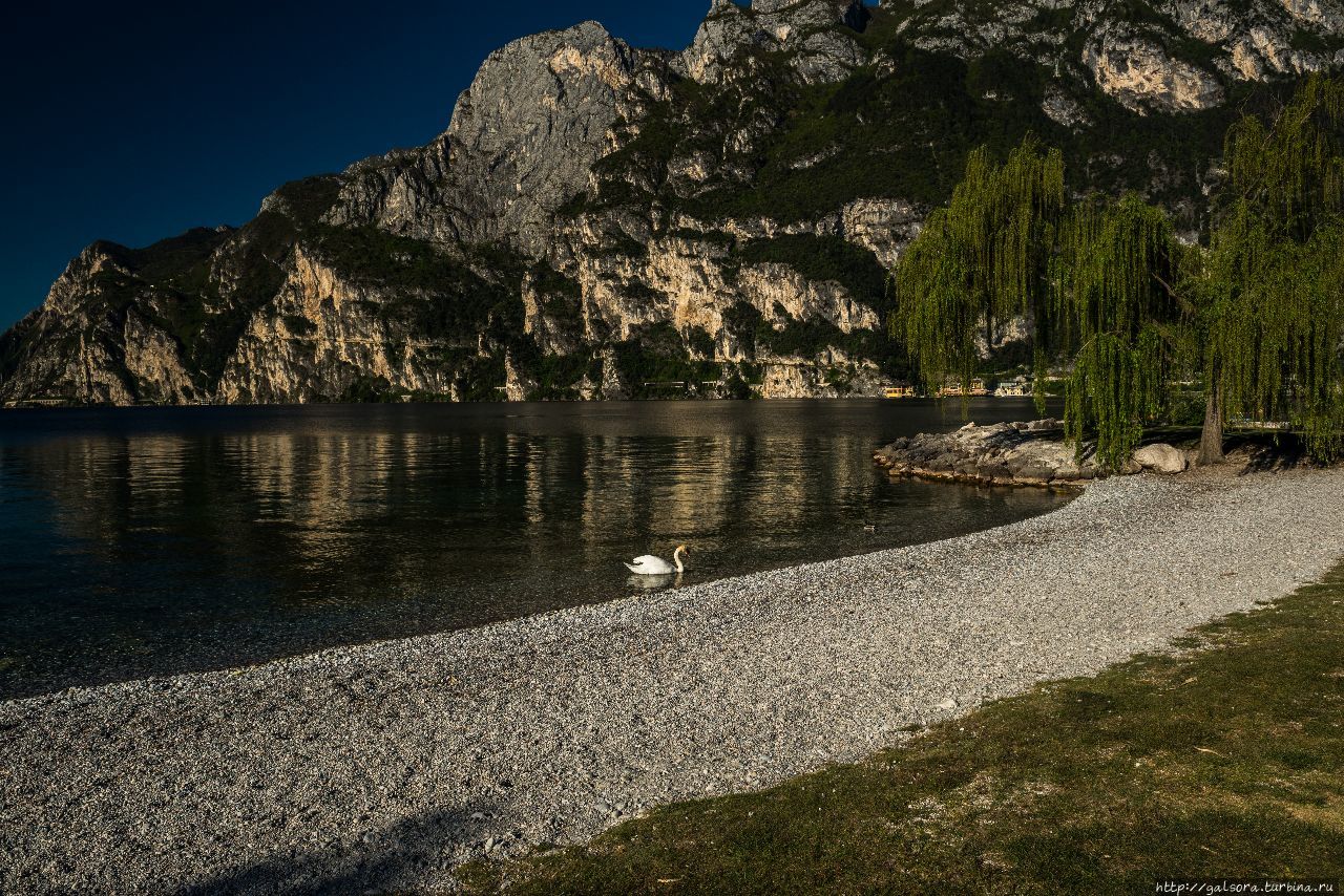 Маленькая одиссея по большому озеру Рива-дель-Гарда, Италия