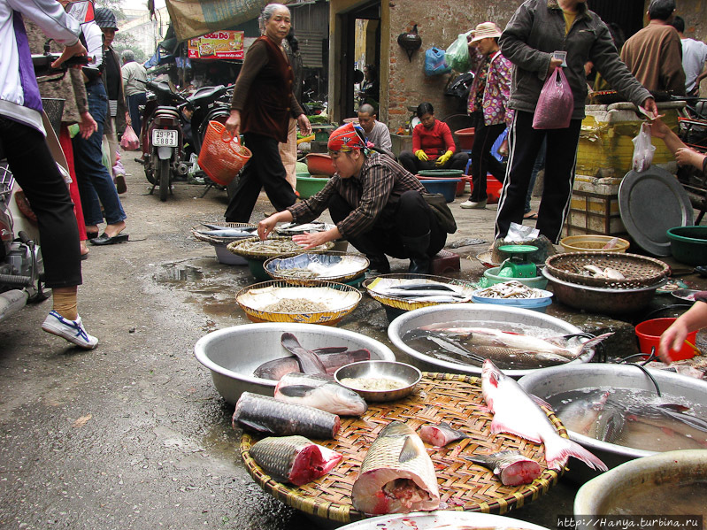 г. Нячанг. Уличная торговля
Фото из интернета Нячанг, Вьетнам