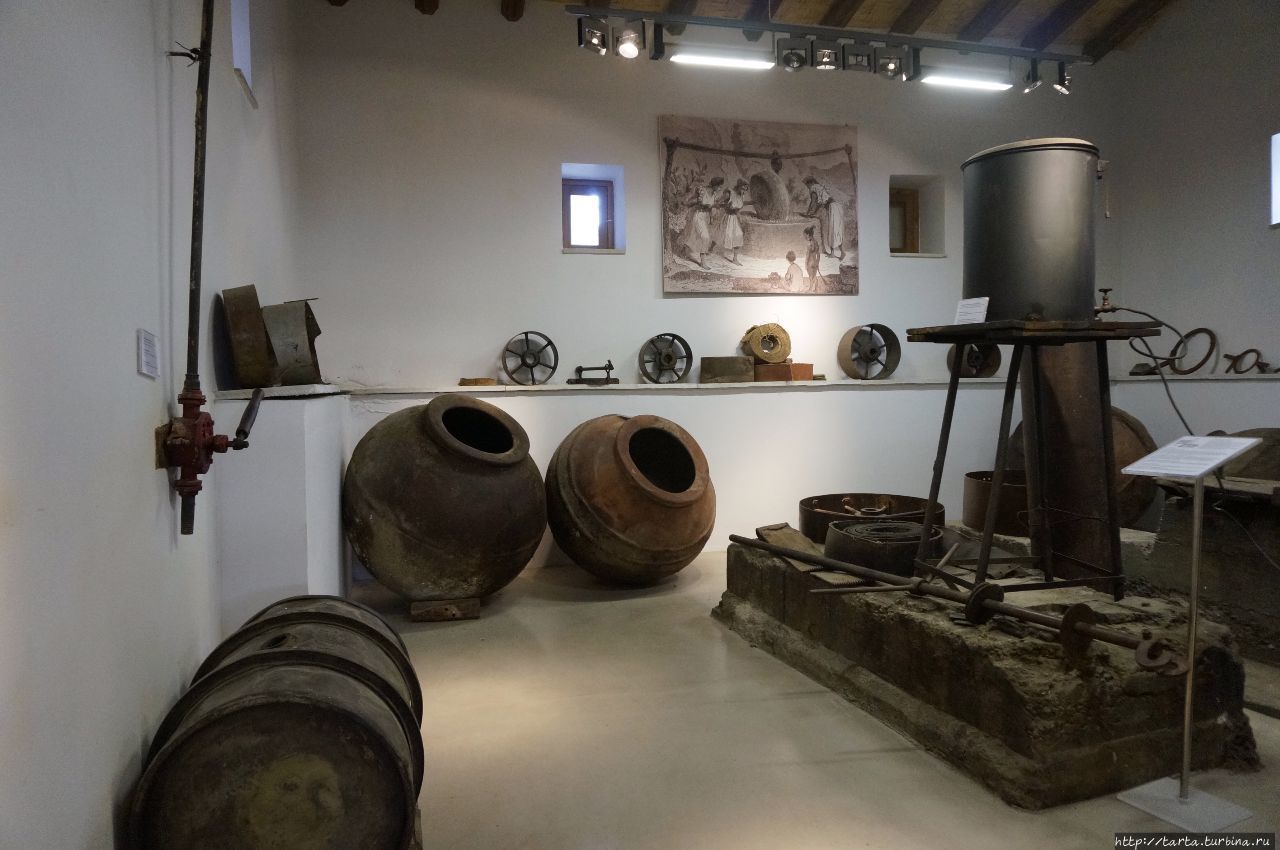 Оливковый музей анталия. Музей оливкового масла. Музей оливы отзывы. Музей оливы отзывы. Музей оливы отзывы.