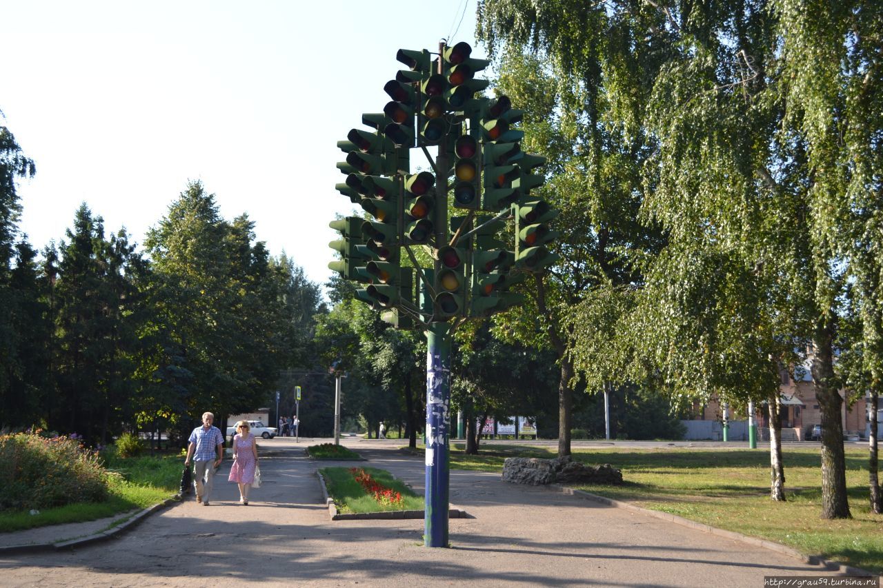 Светофорное дерево / Traffic light tree