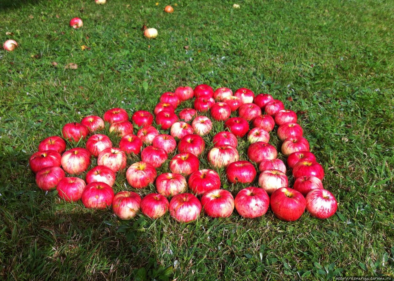 Дача. Путешествие, длиной в полгода Рига, Латвия