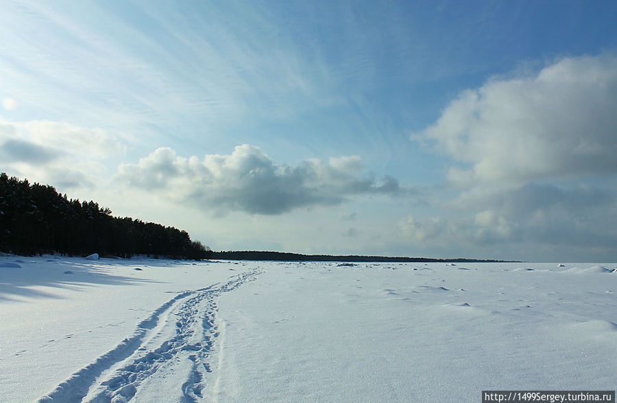 Самая лучшая планета Сосновый Бор, Россия