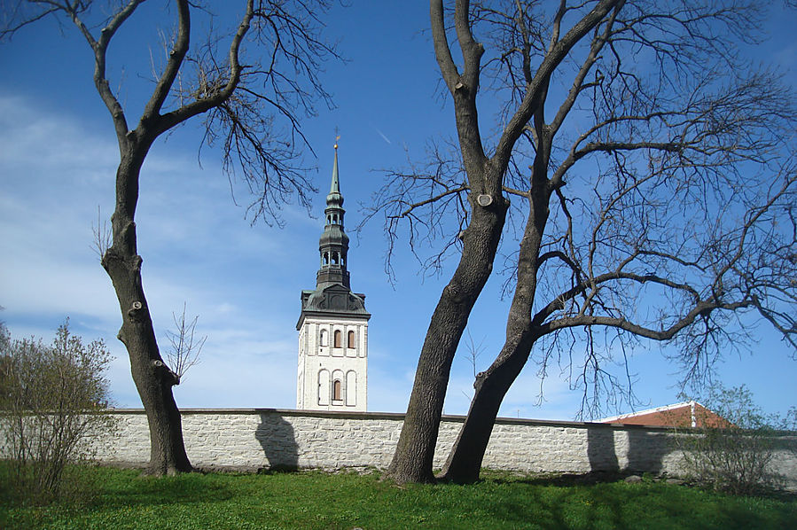 Весна в Таллинском предлеснике Таллин, Эстония