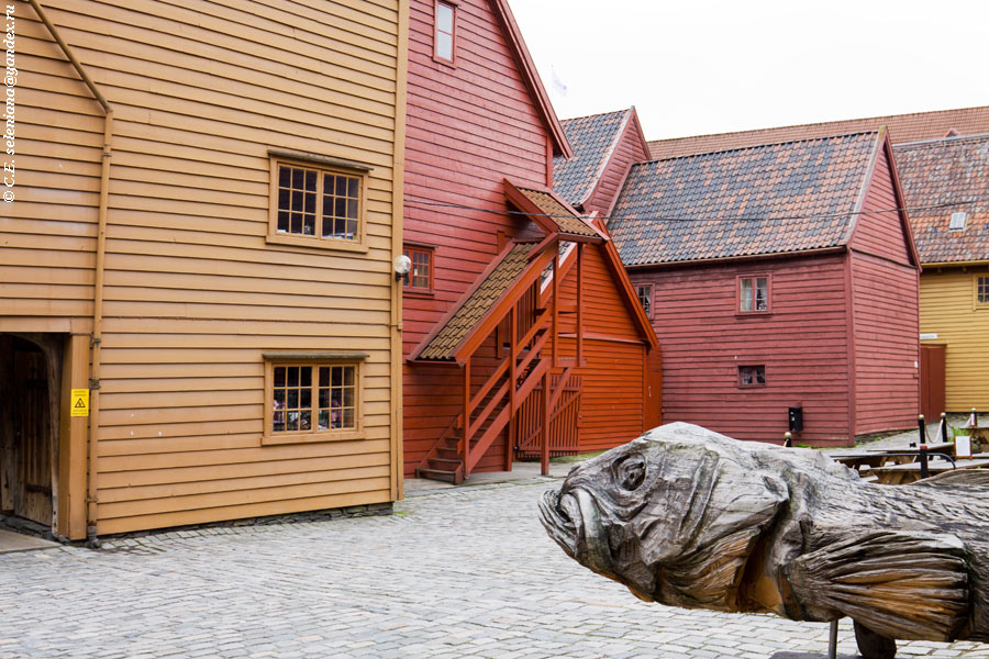 16.  Рыба отрешённо смотрит на деревянные дома. Берген, Норвегия