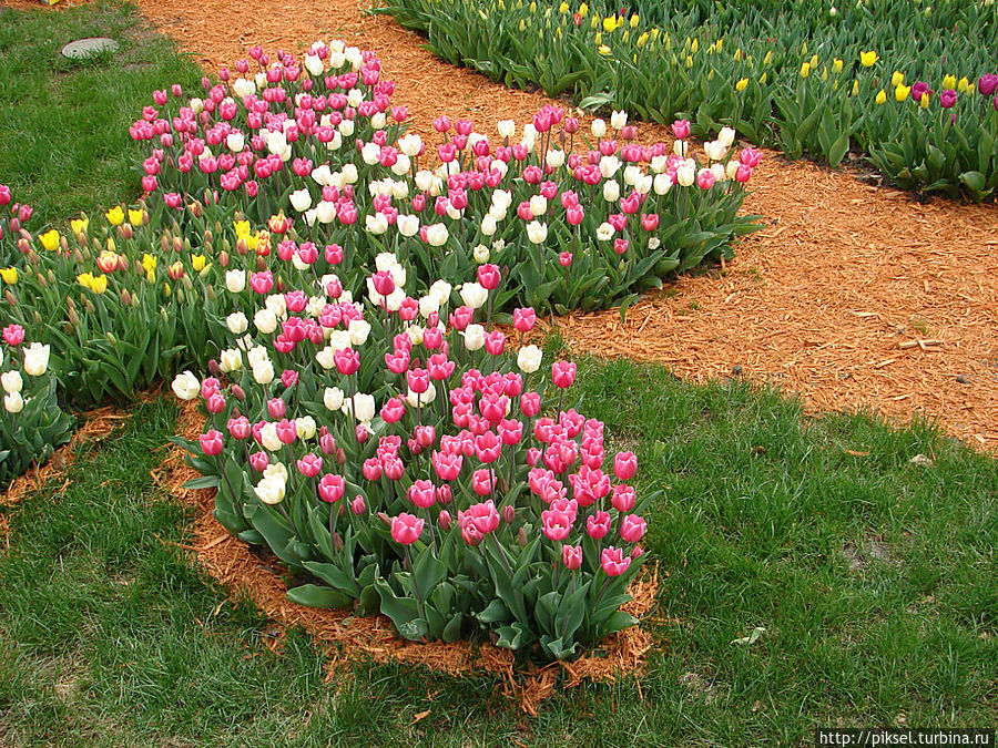 Весенняя феерия Певческого поля Киев, Украина