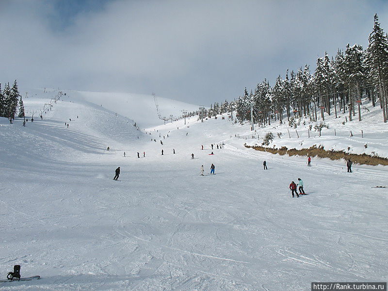 Кресельная дорога 