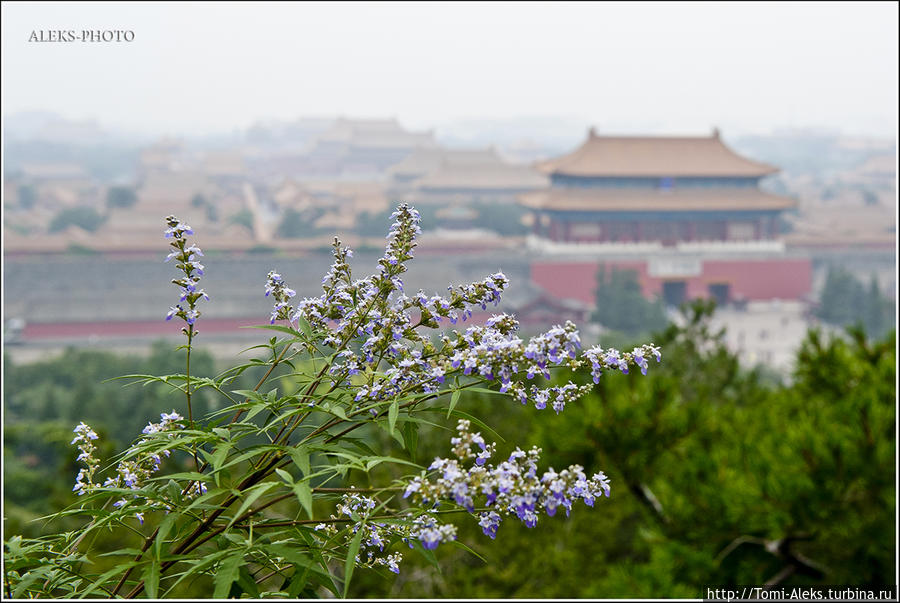 Все-таки китайцы умеют беречь свою природу. И это хорошо видно на примере парков Пекина...
* Пекин, Китай