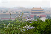 Все-таки китайцы умеют беречь свою природу. И это хорошо видно на примере парков Пекина...
*
