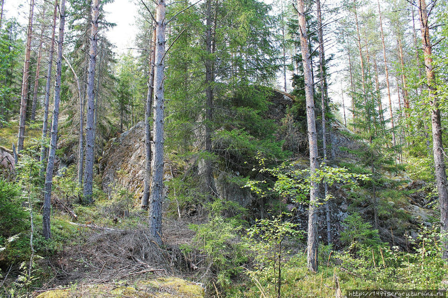 Озеро Питкяярви и его тайны Провинция Южная Карелия, Финляндия