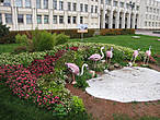 Фламинго в центре Ярославля появились благодаря ЯГОД Ярославль 2000. Ну что ж, птицы — дети заката вполне символичны. Композиция называется Африканский континент.