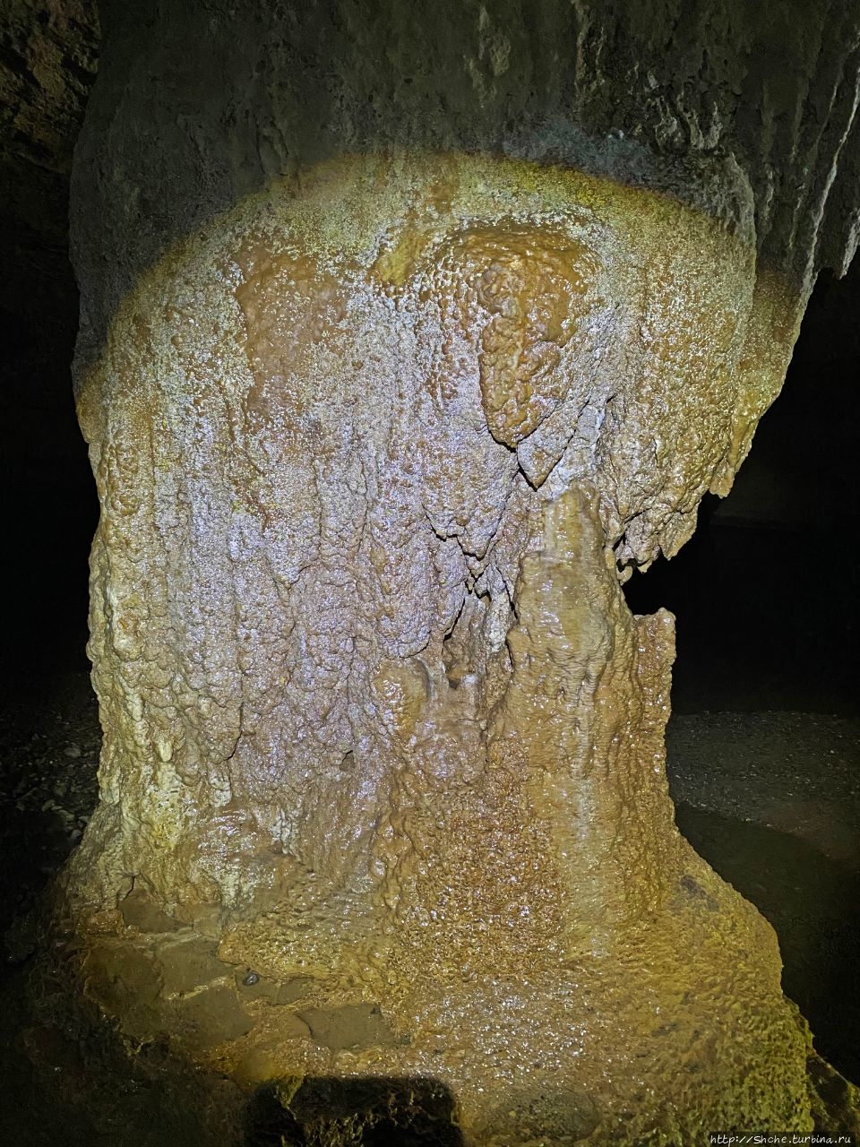 Пещера св. Хермана Сент-Эрманс-Блю-Хоул Национальный Парк, Белиз