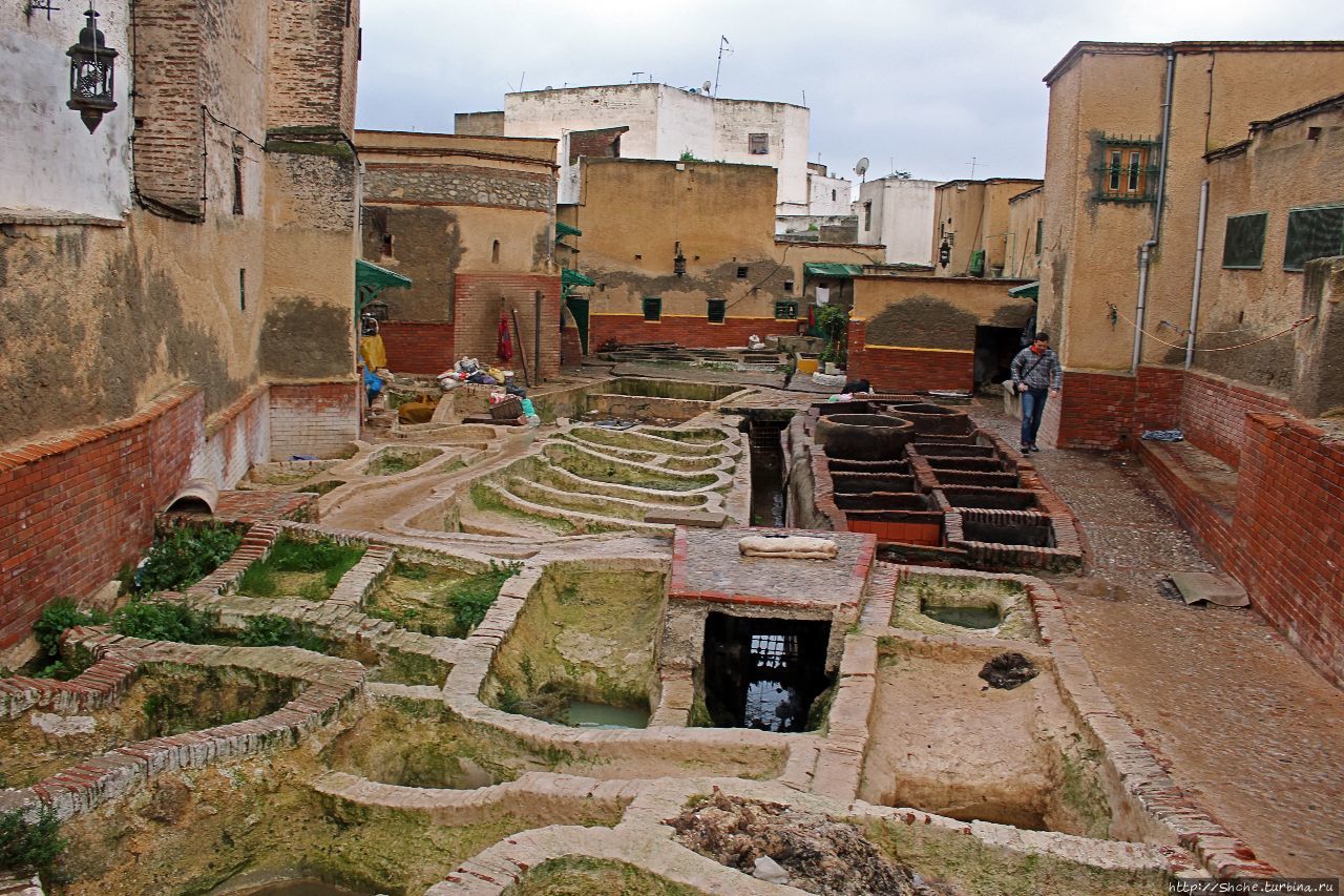 Кожевня Тетуан, Марокко