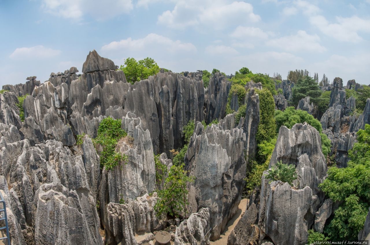 Каменный лес Шилинь Шилин, Китай