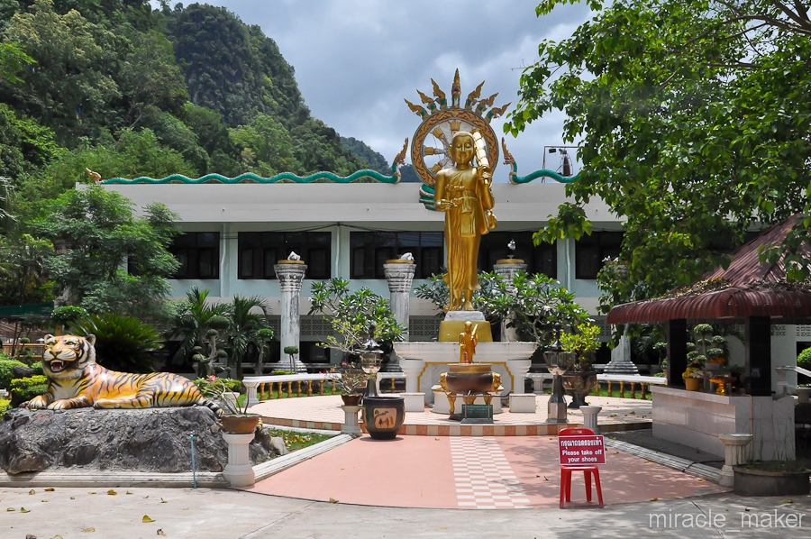 Храм находится всего лишь в пяти километрах от центра Краби. Добраться сюда проще всего на арендованном байке, для более ленивых — на такси, ну и уж если совсем худо с передвижениями, в Краби и во всех близлежащих городах, на каждом углу предлагаются организованные экскурсии в храм Тигриной пещеры, с захватом еще нескольких достопримечательностей.