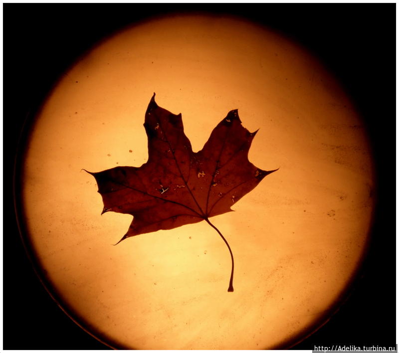 Свидание с ночной Ригой Рига, Латвия