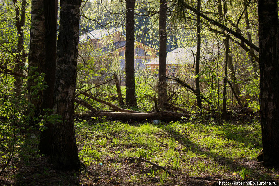 Для чего не стоит сидеть дома в первомай Истра, Россия
