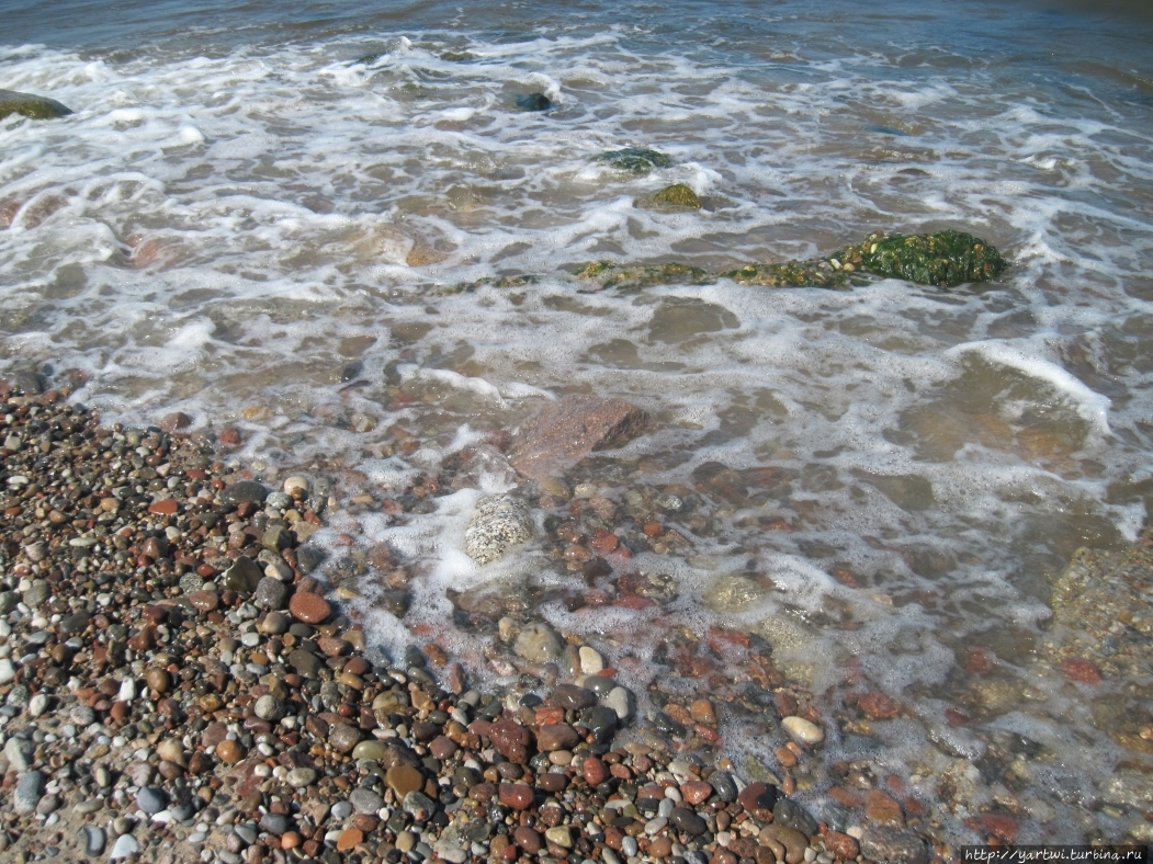 Камни попадаются на пляже как мелкие, так и покрупнее. Прибрежная полоса  песчаная и пологая. Зеленоградск, Россия