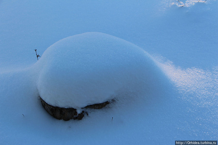 Зимняя сказка Харьковская область, Украина