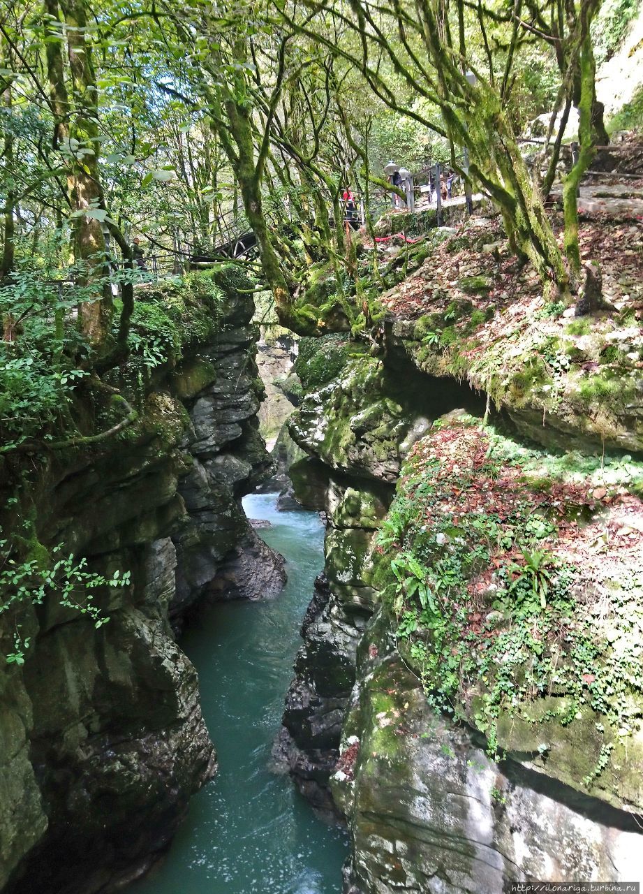 Мартвильские каньоны Мартвили, Грузия