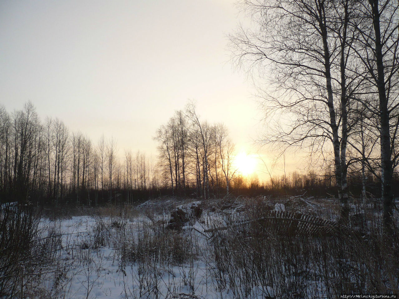 Вот моя деревня.... Маэкса, Россия